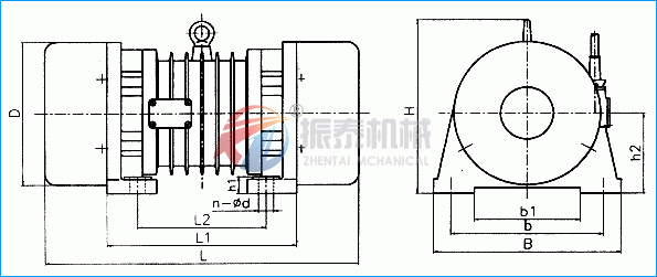 ZG振動電機